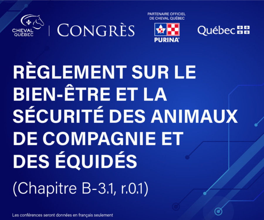 Règlement sur le bien-être et la sécurité des animaux domestiques de compagnie et des équidés